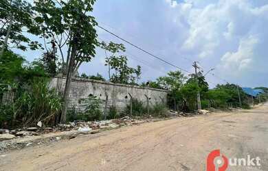 Imagem 6: Terreno à venda, 11284 m² por R$ 11.000.000,00 - Aleixo - Manaus/AM