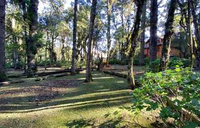 Imagem 4: Terreno à Venda em Canela, na Vila Suzana!