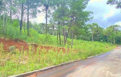 Imagem 4: Terreno - Bairro Dutra. 450m² de Área