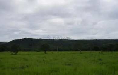 Imagem: A fazenda possui 95m² de Área e está localizado em Barão