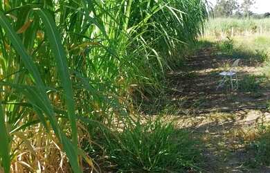 Imagem: A fazenda possui 33.000m² de Área, Piscina, Ar-condicionado