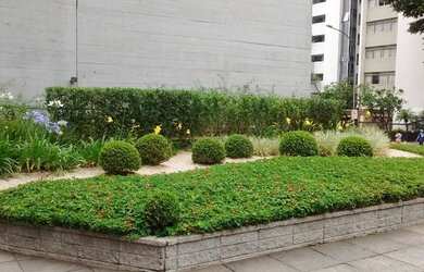 Imagem 9: Conjunto, 31 m² - venda por R$ 330.000,00 ou aluguel por R$ 1.500,00/mês...