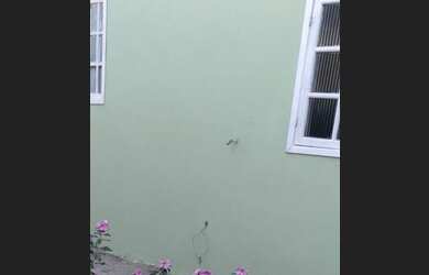 Imagem 5: Alugo Casa com uma lojinha em zona rural de São Pedro da Aldeia-RJ