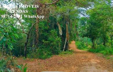 Imagem 4: Lote com 390m² por apenas 230.000,00 no Yby Natureza