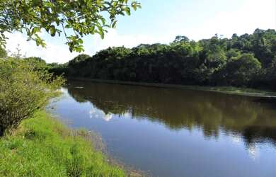Imagem 7: Sitio no Bairro da Ponte Alta, com Lago em Atibaia, 25mil m²