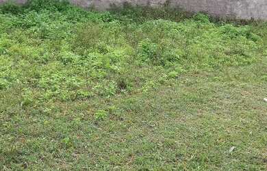 Imagem 2: Vende se. 40m² de Área