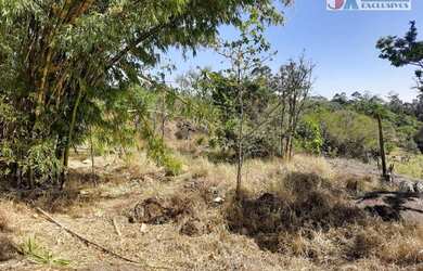 Imagem 2: Área à venda, 24300 m² por R$ 850.000,00 - Chácara Alpina - Valinhos/SP