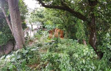 Imagem 2: Terreno em bairro tranquilo