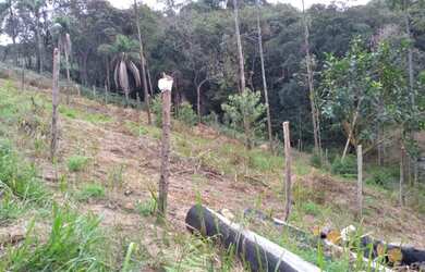 Imagem 1: Terreno. 800m² de Área