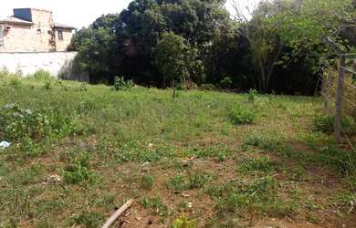 Imagem 6: Terreno 1.650m² escriturado, Jardim das Margaridas Salvador