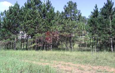 Imagem 2: Campo Limpo Paulista - Terreno Padrão - Jardim Campo Limpo