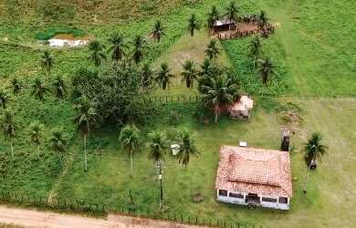 Imagem 1: Fazenda à Venda em Catu Fazenda de Pecuária 101 Hectares 234 Tarefas