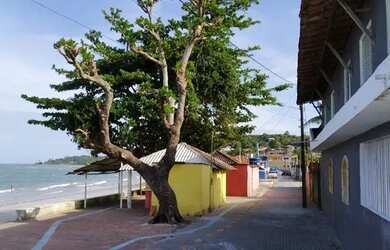Imagem 9: Aluga-se diária e temporada na ilha de Vera Cruz / Itaparica