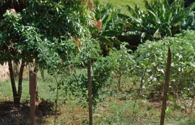 Imagem: O terreno possui 250m² de Área e está localizado em Jardim