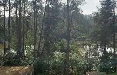 Imagem 4: Lote em condomínio alto padrão