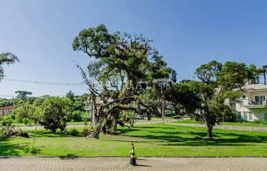 Imagem 15: TERRENO ESPETACULAR - CONDOMÍNIO FECHADO EM CANELA