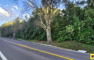 Imagem 4: Sítio / Chácara para Venda em Nova Petrópolis, Bavária