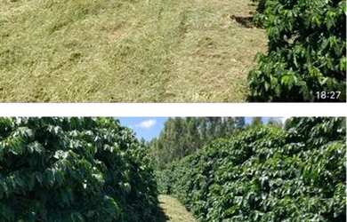 Imagem: A fazenda está localizado em Uberlândia, MG à venda por