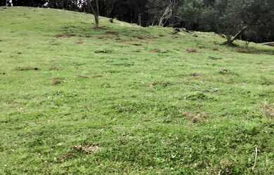 Imagem 10: Vendo chácara de 3,6 hectares na localidade da boca da serra