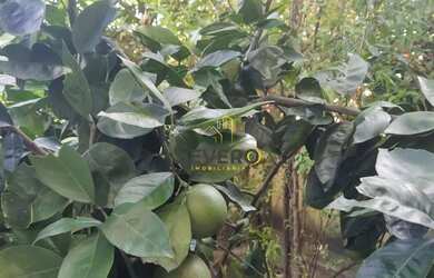 Imagem 14: Casa à venda no bairro Brasilândia - São Gonçalo/RJ