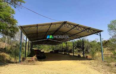 Imagem 9: FAZENDA À VENDA - 1.005 HECTARES - CURVELO MG