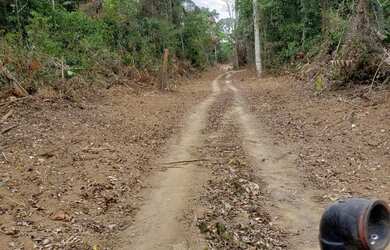 Imagem 12: VENDO FAZENDA 2988 hec ESCRITURADA REGIÃO DE AMAJARI RORAIMA 4250