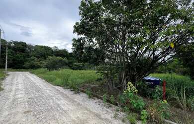 Imagem 7: Terreno 2791m² no Cond. Tatuamunha Golf and Country