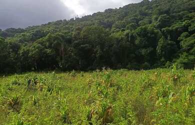 Imagem 5: Localização estratégica KM 82 da Rodovia Bunjiro Nakao Apenas 1 km...