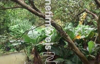 Imagem 14: Venda Sítio Granja Santa Inês são Benedito Santa Luzia