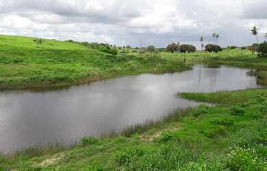 Imagem: A fazenda possui 210000m² de Área e está localizado em Cerro