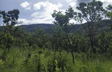 Imagem: A fazenda possui 186m² de Área e está localizado em Santa