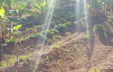 Imagem: O terreno possui 250m² de Área e está localizado em Centro