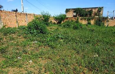 Imagem 7: Terreno 1.650m² escriturado, Jardim das Margaridas Salvador