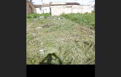 Imagem: O terreno está localizado em Tobias Barreto, SE à venda por