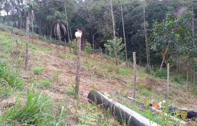 Imagem 2: Terreno. 800m² de Área