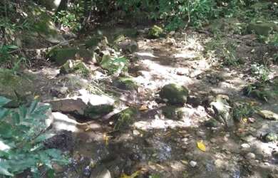 Imagem 3: 186 Alqs Terra Mista Ja Foi Aberta Mais Tem Preço Sta Terezinha GO