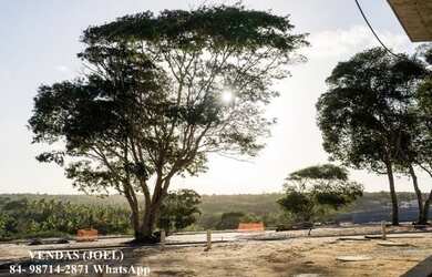 Imagem 7: Lote com 390m² por apenas 230.000,00 no Yby Natureza