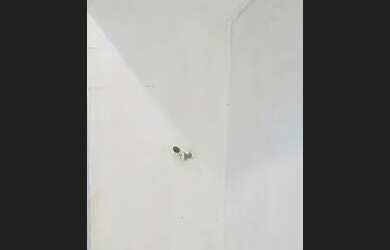 Imagem 4: Alugo kitnet em Piedade por R$ 750,00 já incluindo água e luz tratar...