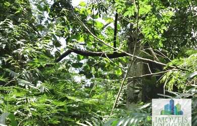 Imagem 6: Terreno à venda, 5201 m² por R$ 1.200.000 - São Joaquim - Vinhedo/SP