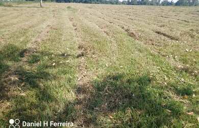 Imagem: A chácara possui 10.000m² de Área e está localizado em