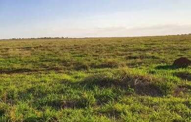 Imagem 2: Felixlândia - Fazenda de 5.013 hectares - R$120.000.000,00