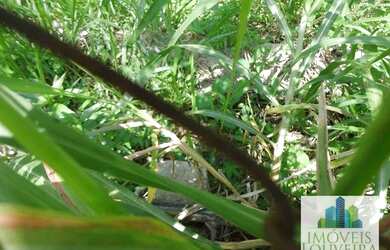 Imagem 10: Terreno à venda, 5201 m² por R$ 1.200.000 - São Joaquim - Vinhedo/SP