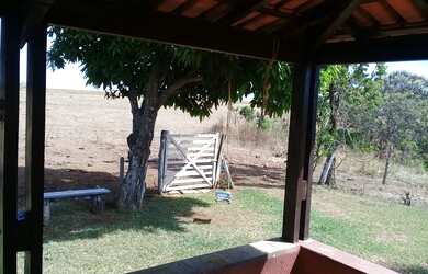 Imagem 12: FAZENDA PRODUTIVA COM 472HECTARES, HA 55KM DE UNAI