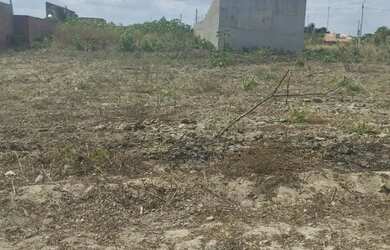 Imagem: O terreno está localizado em Batingas, Arapiraca à venda por