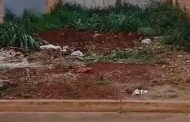 Imagem: O terreno está localizado em Centro, Sertãozinho à venda