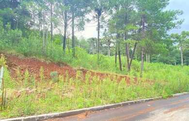 Imagem 6: Terreno - Bairro Dutra. 450m² de Área