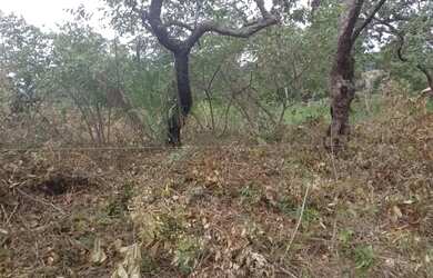 Imagem: O terreno possui 2.000m² de Área e está localizado em Diamantina