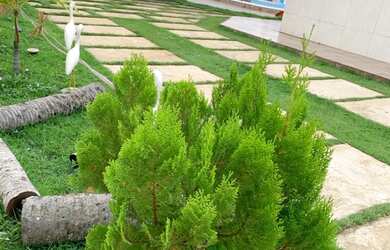 Imagem: A casa possui 3 Dormitórios, Acomodam 9 pessoas, 5 Vagas na