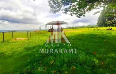 Imagem 11: FAZENDA - MARECHAL CANDIDO RONDON - PR