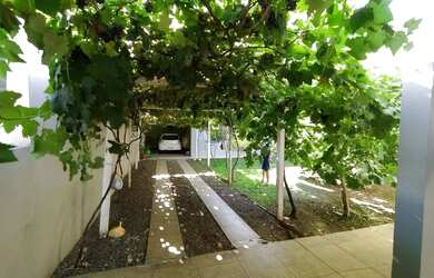 Imagem 6: Casa a venda em Pé de Platano